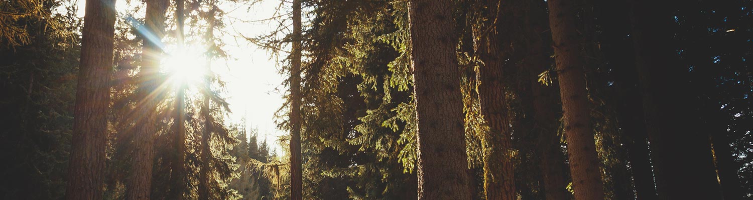 helping-others-slider